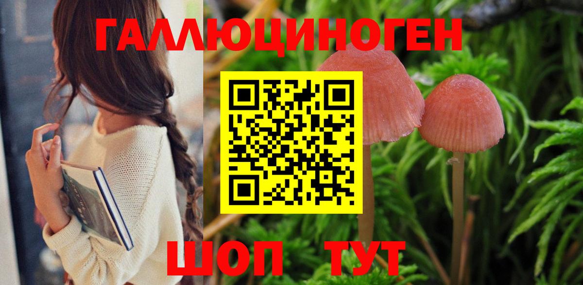 Галлюциногенные грибы Psilocybe  Вход с VPN  Галлюциногенные грибы мицелий  Белореченск 